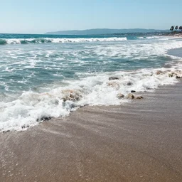 and tidal waves couldn't save the world from californication,