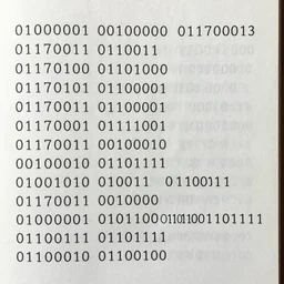 01000001 00100000 01110011 01101001 01100111 01101110 00100000 01110100 01101000 01100001 01110100 00100000 01110011 01100001 01111001 01110011 00100000 00100010 01001110 01101111 00100000 01001010 01101111 01101011 01100101 01110011 00100000 01000001 01101100 01101100 01101111 01110111 01100101 01100100 00100010