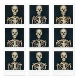 collage of polaroid photographs of bones and skeletons