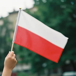 film still of polish flag in little rose, 4 k