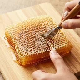 arm made with honeycomb
