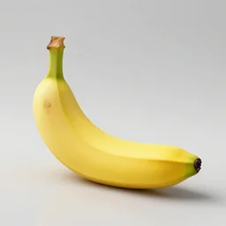 spotless platonic banana in abject solitude.