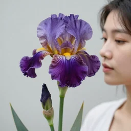 an hybrid between an iris flower and a human