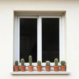 a window with on it's border small cactus in pot.