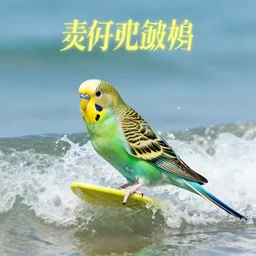 album cover of a budgie surfing