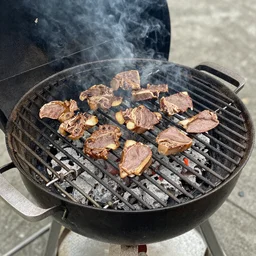 very dirty oily never cleaned grill