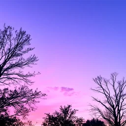 why is the sky blue if it is purple with a red tinge?