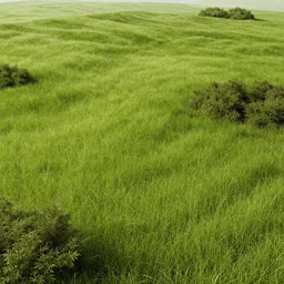 a large shot of grassy fields separated by bushes, in the style of renaissance.