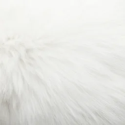 a white arctic fur texture