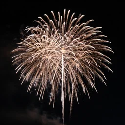 fireworks in the night sky