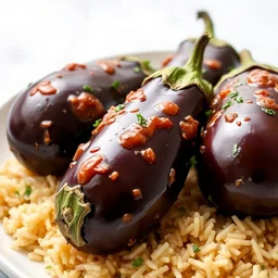 marinated eggplants and rice