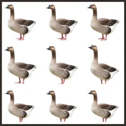 grid of geese