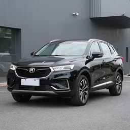 haval f 7, black black black black color