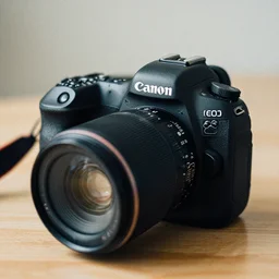 Shot using a Canon EOS R3. Extremely grainy photograph of a