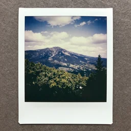 old polaroid photo of a mountain and forest