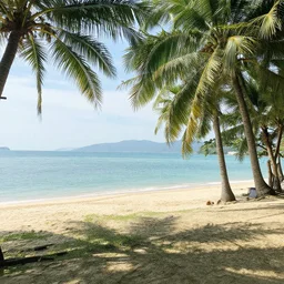 Une photo réaliste du paradis