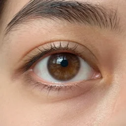 A perfectly normal human eye