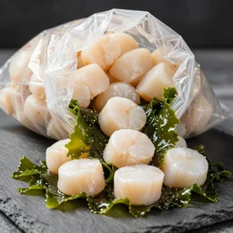 photo of a bag of raw scallops with seaweed pouring out, studio lighting, very very realistic