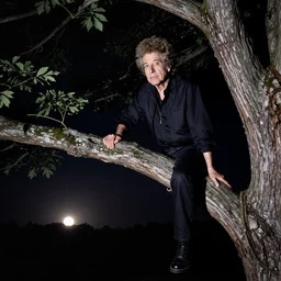 bob dylan perched up on a tree branch at night 2 0 meters in the distance, flash photography