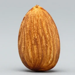 super detailed studio photograph of an almond, 8 k