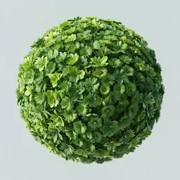 plant-based sphere, 4k, photo