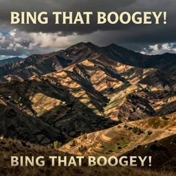 BING THAT BOOGEY!