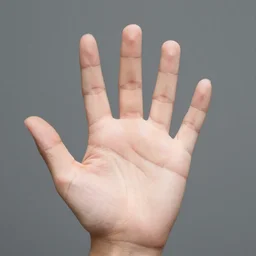 human hand with five fingers, xf iq 4, f / 1. 4, iso 2 0 0, 1 / 1 6 0 s, 8 k, raw, unedited, symmetrical balance, in - frame, sharpened