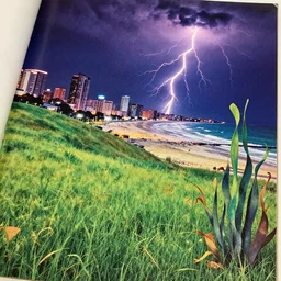 low angle, 1 9 7 6 magazine cut out collage, surrealist lights, psychedelic water colors, grassy hills background, city with a beach, night with thunder and lightning, aquatic plants 🪴