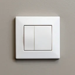 light switch