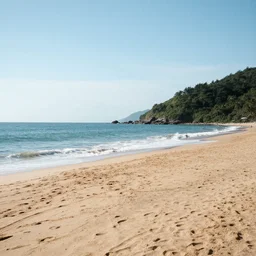 beach landscape