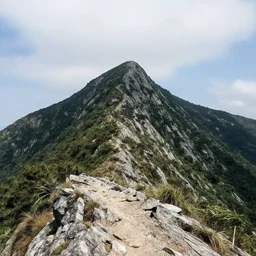 a depiction of ⛏