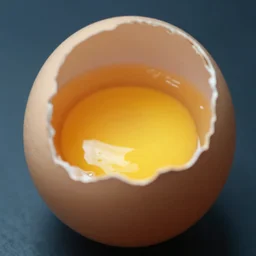 inside a egg