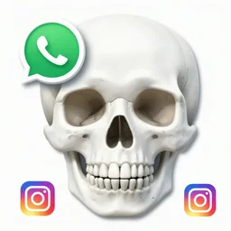 whatsapp and instagram messages collage in the shape of a skull