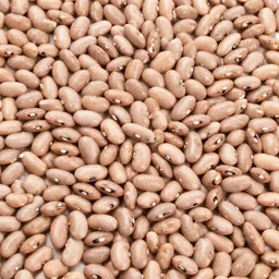 Beans, what the fuck