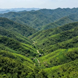 a stunning landscape from one piece, highly detailed