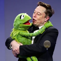photo of elon musk strangling a muppet