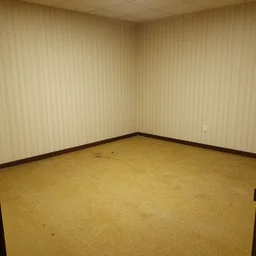 an empty room with stained yellow carpet and wallpaper, craigslist photo