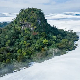 a fantasy landscape where green jungle and snowy tundra blend together