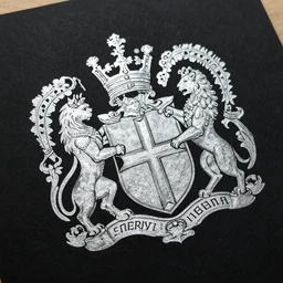 silver ink in black paper illustration of an english coat of arms. hand drawing. line draw. detail. hq.