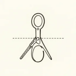 simple!!!!!!! schematic of the tool that saved humanity, centered in a frame