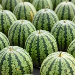 too many watermelons, AP photography, 4k