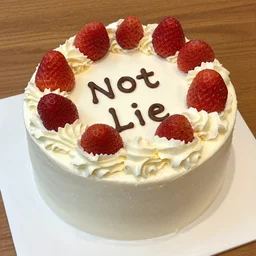 this cake is not a lie