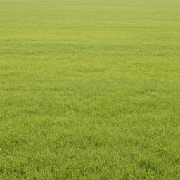 photo of a simple peaceful expansive empty field with no trees
