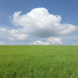 a view of a surreal grassy landscape, puffy clouds, photograph, 4 k, detailed, beautiful view, perfect lighting, perfect composition