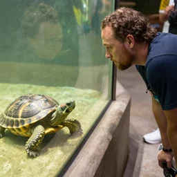 russell wilson looking at a turtle at the zoo