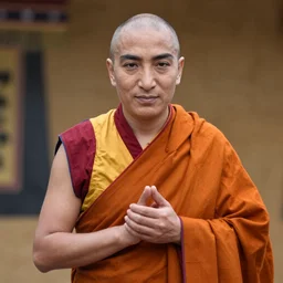 dalai lama in up (2010)