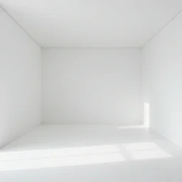An Empty White Image