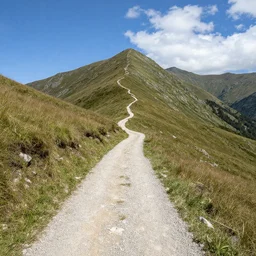 a mountain path
