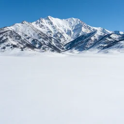 and you thought you knew Montana