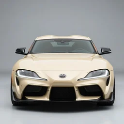 photograph of a supra